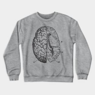 Brain anatomy Crewneck Sweatshirt